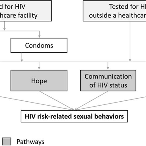pathways upstream from fsws hiv risk related sexual behaviors that may download scientific