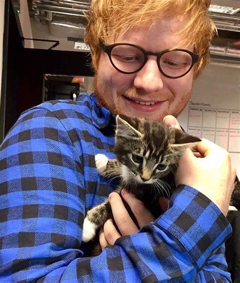these are a few of my favorite things ed sheeran ed sheeran love hug your cat day