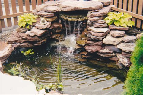 Ponds Watergardens And Waterfalls By Forever Green