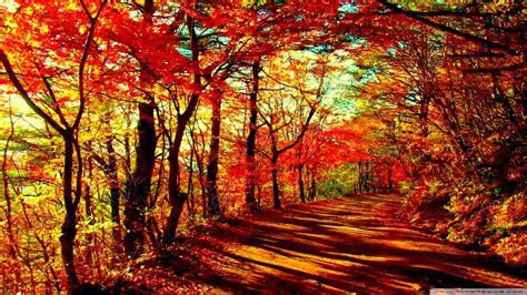 1920x1080 Fall Wallpapers Hd Wallpaper Collections