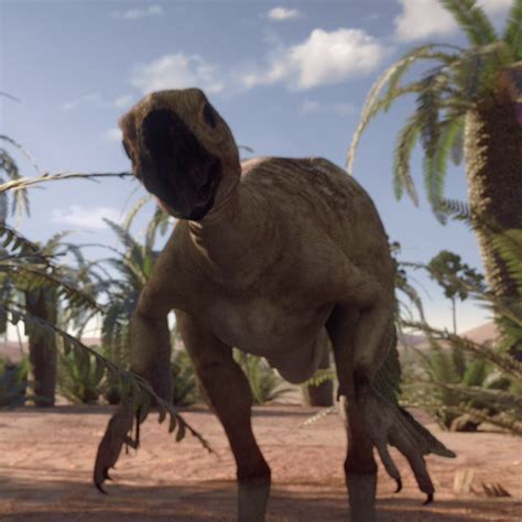 The story revolves around a strange louisiana swamp creature, which was a cloned pliosaurus. Image - OviraptorPortrait.png | Planet Dinosaur Wiki ...