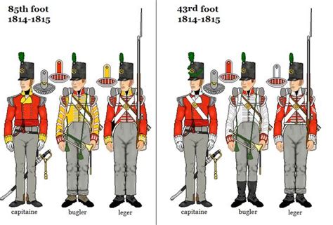 85th 43rd Foot England During The Age Of Napoleon Pinterest British