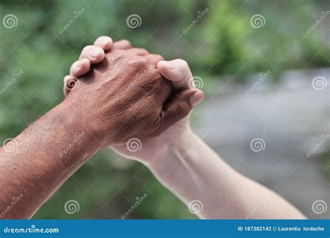 Black And White Hands Holding Each Other Stock Photo Image Of Unity