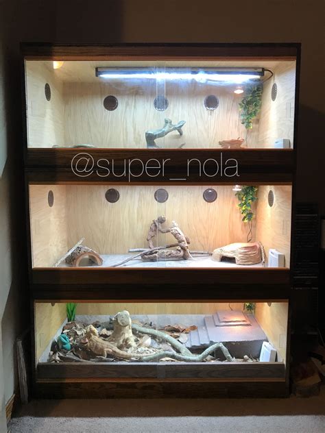 Household items can easily become bearded dragon toys! DIY custom 3 tier wooden enclosures for bearded dragons ...