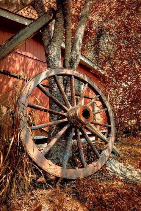 Gentleman Bobwhite Old Wagons Wagon Wheel Country Scenes
