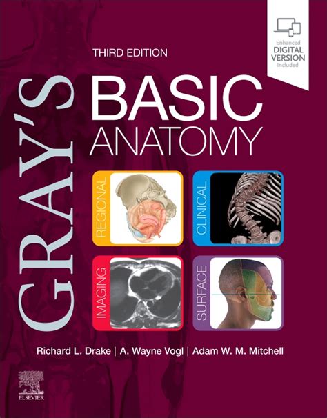 Grays Basic Anatomy Edition 3 By Richard L Drake Phd A Wayne