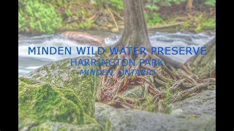 Minden Wild Water Preserve At Harrington Park Minden Ontario Canada