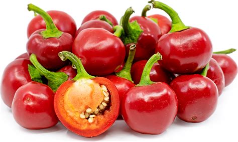 Red Cherry Chile Peppers Information Recipes And Facts