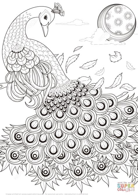 cool coloring pages for adults peacock coloring home