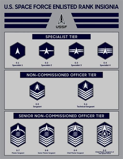 Official Space Force Enlisted Rank Insignia Advice For Veterans