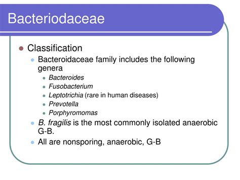 Ppt The Anaerobes Powerpoint Presentation Free Download Id3326516