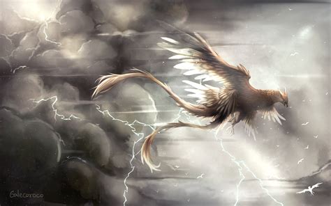 Thunderbird Fantastic Beasts And Where To Find Them Drawn By