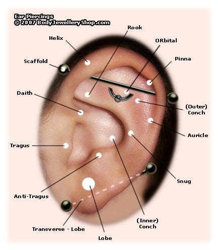 Different Types Of Ear Piercings And Their Names