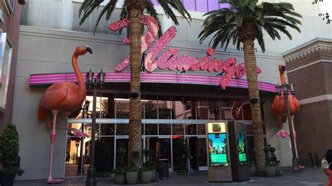 Merken Pläne Festland Flamingo Las Vegas Holidaycheck Erfahrene Person Männlich Wiederholen