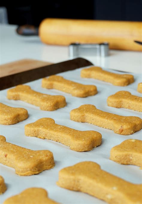 4 Ingredients Homemade Dog Treats Recipe Dog Biscuit Recipes Dog