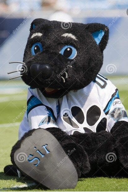 Pin By Bethany Bond On Mascots Carolina Panthers Football Carolina