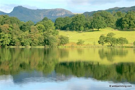 Loughrigg Tarn Lake District Beautiful Lakes Open Water Swimming