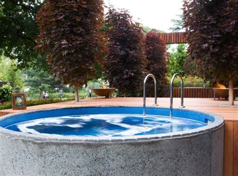 Backyard Plunge Pool Small Pools Small Backyard Pools Stock Pools