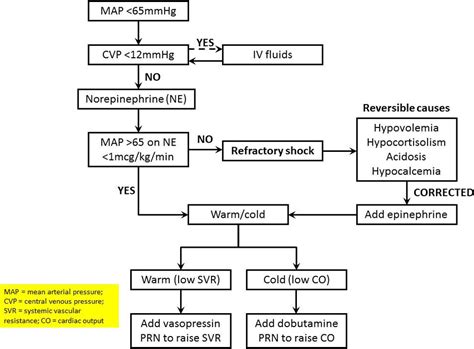 Pharmacotherapy Update On The Use Of Vasopressors And Inotropes In The