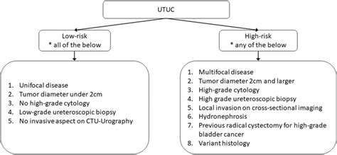 Risk Stratification Of Non Metastatic Utuc 28 Adapted From The Eau