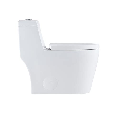 Dax One Piece Elongated Toilet With Soft Closing Seat And Dual Flush H