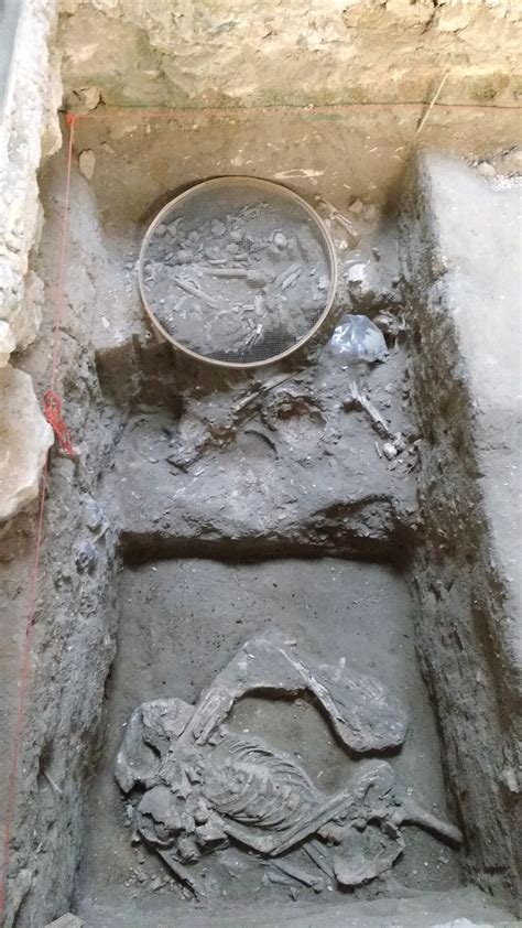 Escavação no sítio arqueológico Cemitério dos Pretos Novos Instituto dos Pretos Novos em