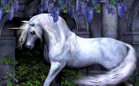 Choose from a wide range of similar scenes. Unicorn Backgrounds For Desktop - Wallpaper Cave