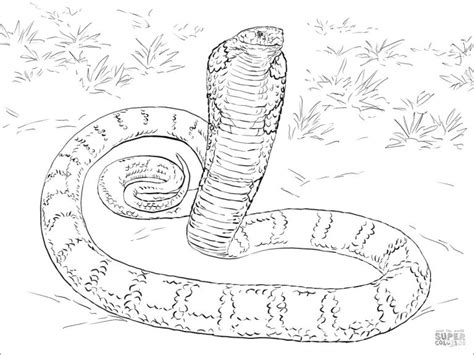 Printable King Cobra Coloring Page Coloringbay The Best Porn