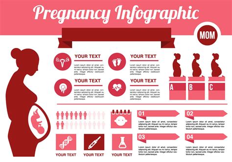 Free Pregnancy Infographic Vector 119614 Vector Art At Vecteezy