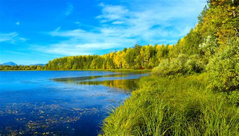 Photos Nature Summer Lake Forest Landscape Photography Grass
