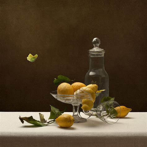 Dutch Photographer Of Still Life And Portraits Inspired By The Dutch