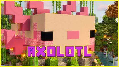 ♥ Minecraft Axolotl ♥ ⛏️ Easy Tutorial Axolotl Housebuildstatue