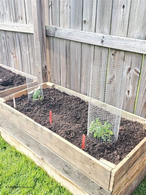 In this short video i will. How to Build Raised Garden Beds from Wood Pallets - Everyday Shortcuts