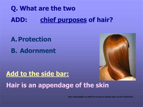 18 Chapter 11 Properties Of The Hair And Scalp Giuliokanita