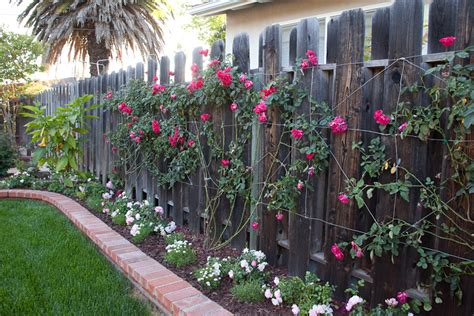 Landscaping For Privacy In Santa Barbara Walls And