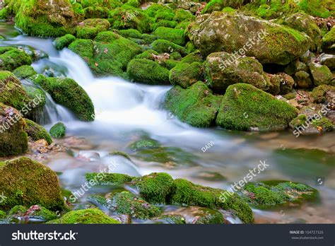 Picturesque Mountain Stream Background Stones Moss Stock Photo