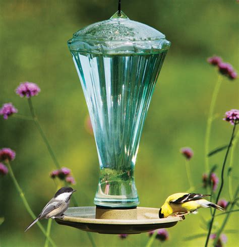 If the bird is on a busy path or road, or other potentially dangerous, exposed location, it makes sense to pick it up and move it a short distance to a. Duncraft.com: Drink N Bathe Water Feeder