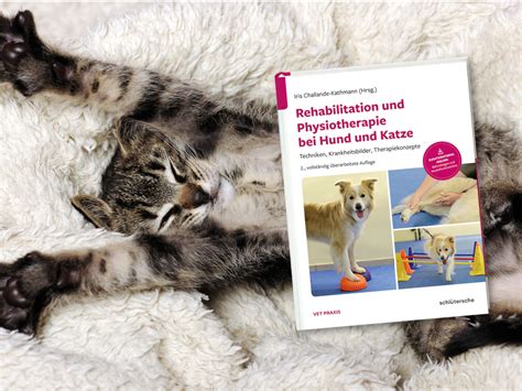 Rehabilitation und Physiotherapie bei Hund und Katze  vetline