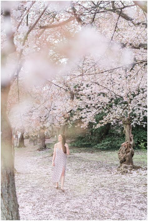 Dc Cherry Blossom Portraits Dc Portrait Photographer Virginia