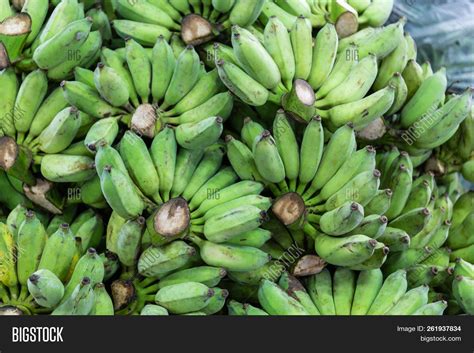 Bunch Bananas Image And Photo Free Trial Bigstock