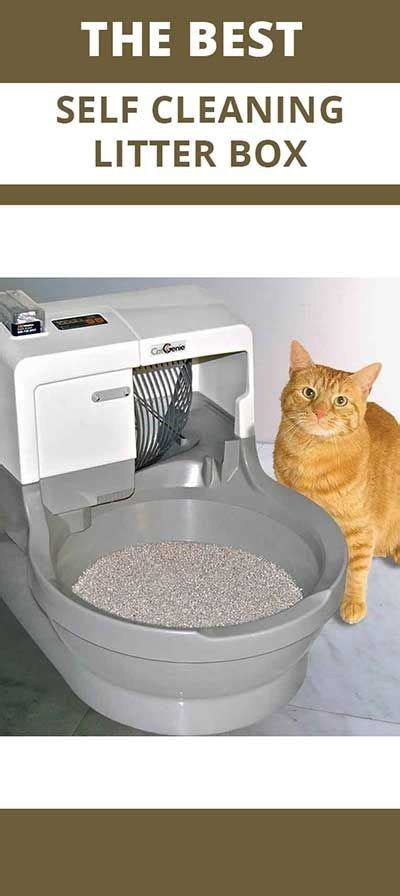 (it does everything but teach your cat to flush!) The CatGenie is a self-flushing, self-washing cat box ...