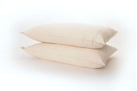 Omi Mattress Certified Organic Cotton Pillow