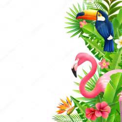 Tropical Rainforest Flamingo Vertical Colorful Border Vector Image By