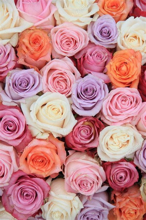 Pastel Rose Wedding Flowers — Stock Photo © Portosabbia 10053621
