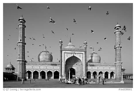 Black And White Picture Photo Jama Masjid With Pigeons Flying New