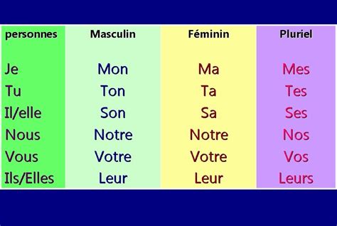 francés 1: les adjectifs possessifs