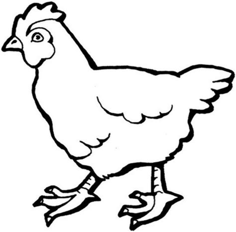 Download High Quality Chicken Clipart Outline Transparent Png Images