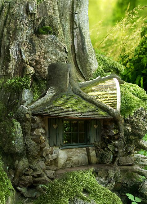 Tree House In The Forest Most Beautiful