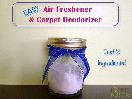 Natural Diy Air Fresheners Home And Gardening Ideas