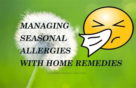17 Workable Home Remedies To Get Rid Of Seasonal Allergies Naturally